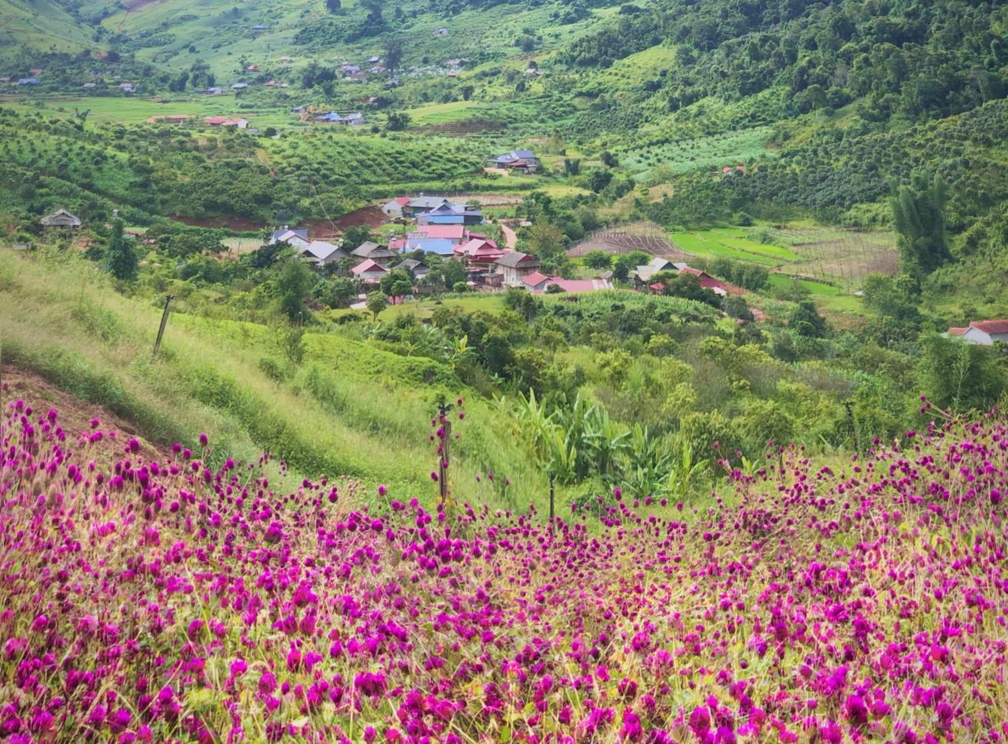 Muong Sang Farmstay Moc Chau Exterior photo